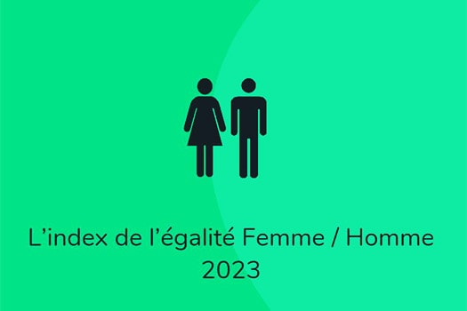 Index Egalité Femme Homme Signaux Girod